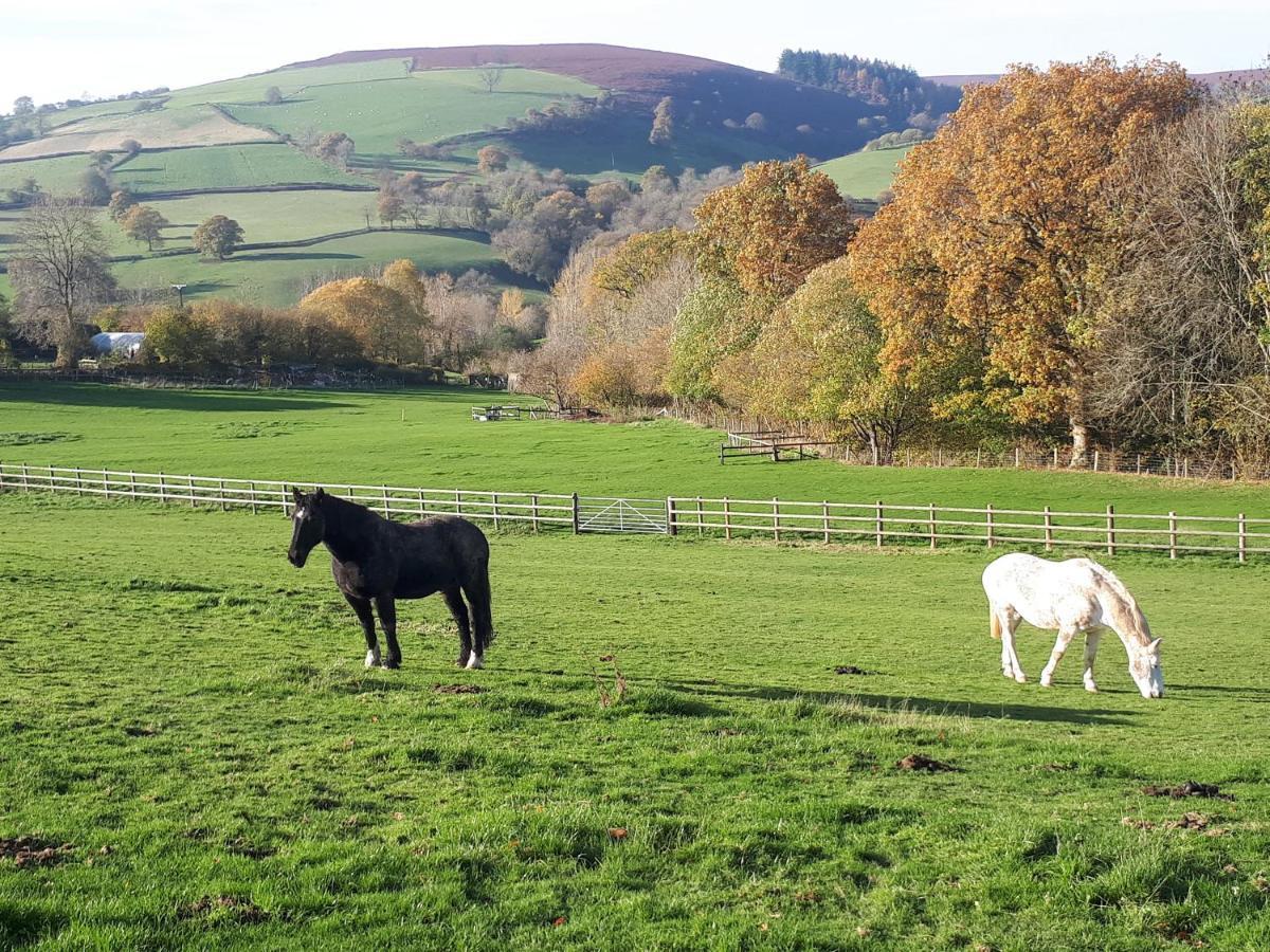 Buzzards Breg Vila Builth Wells Exterior foto